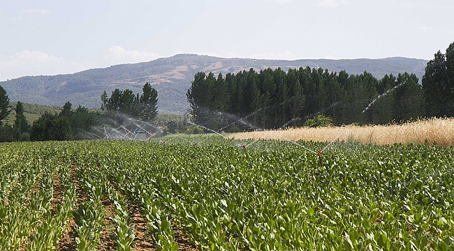 Acu:''Şehzadeler Şehri Manisa'yı Su Yapıları İle İhya Ediyoruz''
