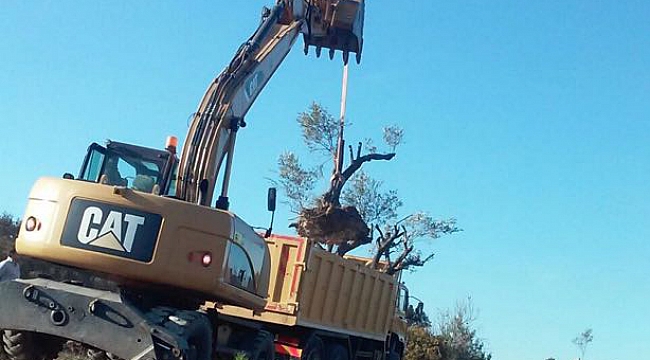 Doğal Yaşam Köyü’ne Hayat Verecekler