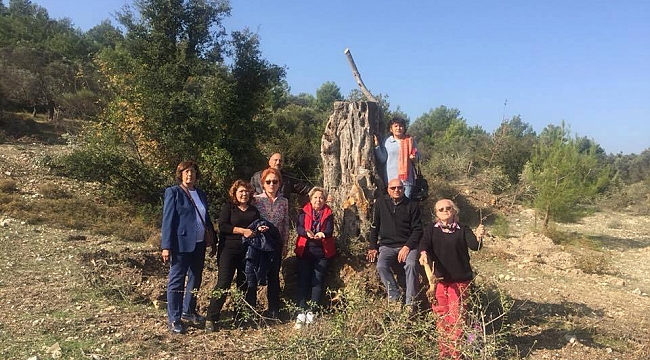Dünya Zeytin Günü'nde Zeytinine Sahip Çıkacak