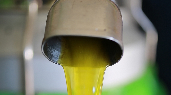 Mükemmel Zeytinden Mükemmel Zeytinyağı