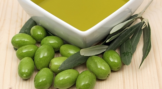 Zeytinyağı İhracatını Üçe Katladı