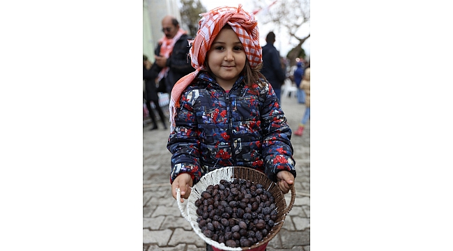 1. Küçükkaya Zeytin Şenliği Düzenlendi
