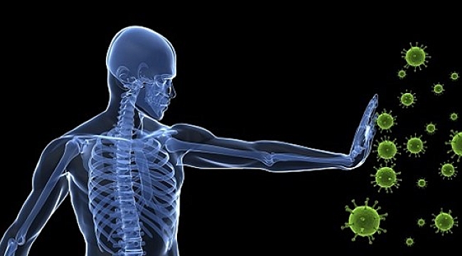 Bağışıklık Sisteminize İyilik Yapın