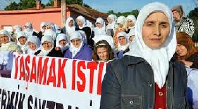 Terme&#039; de Termik Santrale Danıştay Freni