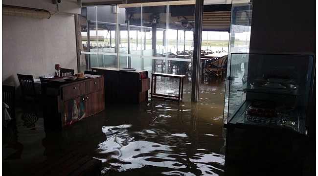 Denizden gelen felaket