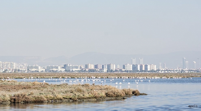 İzmir Körfezi Geçiş Otobanı Tartışmaları Büyüyor!