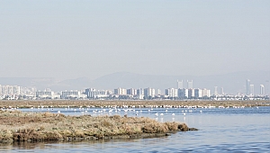 İzmir Körfezi Geçiş Otobanı Tartışmaları Büyüyor!