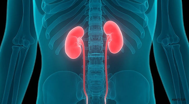 Ailesinde genç yaşta böbrek kanseri gelişen kişilerde risk üç kat daha fazla