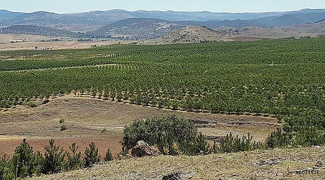 Sınırlar Kalktı, İşsizlik Bitti