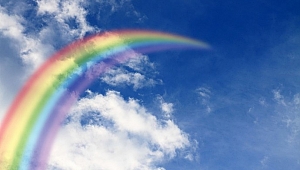 "Uyuşma, Uyuşturma, Uyandır" 