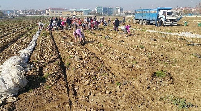 İzmir&#039;de gelir düşüyor, çiftçi başkan ürüne yöneliyor