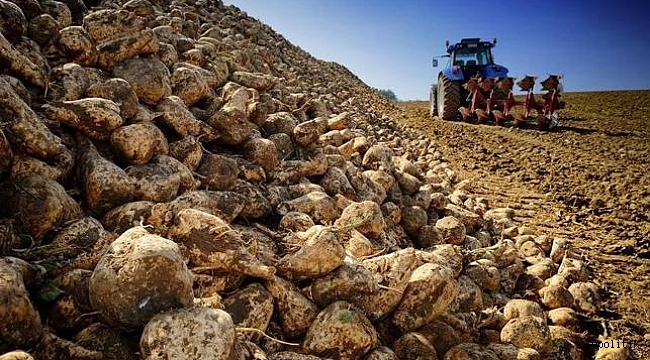 Meclis&#039;ten şeker kararı