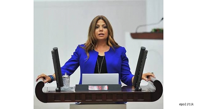 Zeynep Altıok&#039; tan &quot;Tüzük&quot; Çıkışı