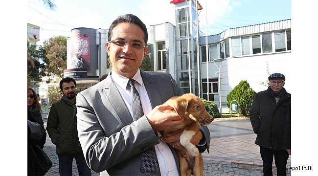 Bornova Sokak Hayvanlarının da Evi