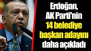 Erdoğan, AK Parti'nin 14 belediye başkan adayını daha açıkladı