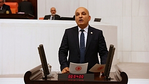 Gediz Havzası Bulunmaz  Bir Değer