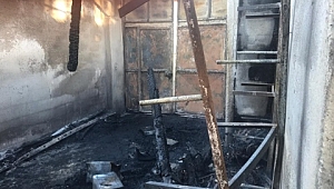 Kadın Adaya Saldırı