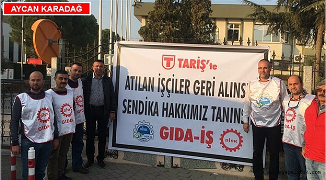 TARİŞ İşçisinden Mesaj Var