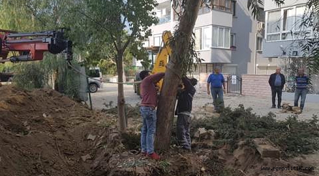 Güzelbahçe'de Yeşil Seferberliği