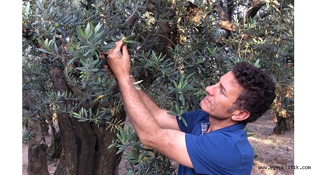 Sarıbal: Tarımı bitirmeye yemin etmişler