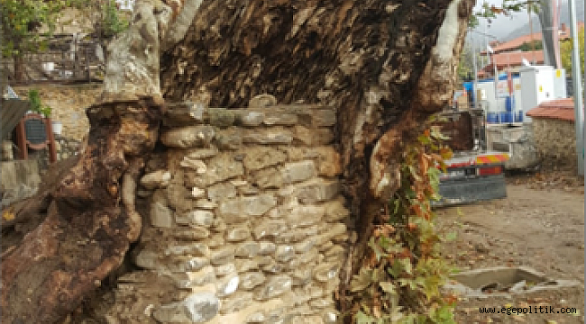 Yüzyılın Operasyonu