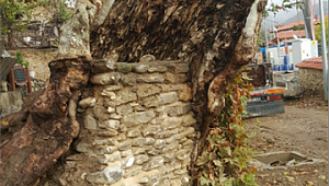 Yüzyılın Operasyonu