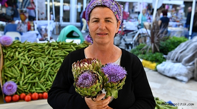 5. Enginar Festivali Hazırlıkları Başladı