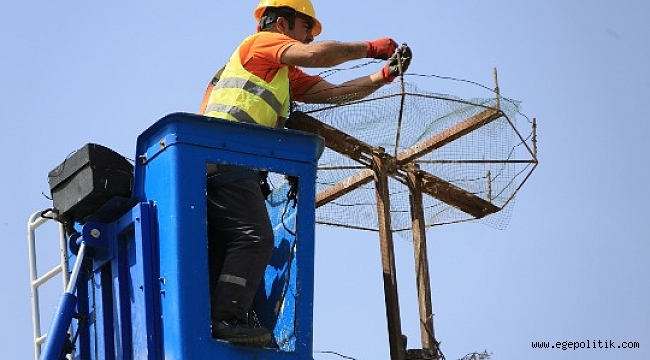 Selçuk'ta Baharı Getiren Leylekler, Artık Daha Huzurlu