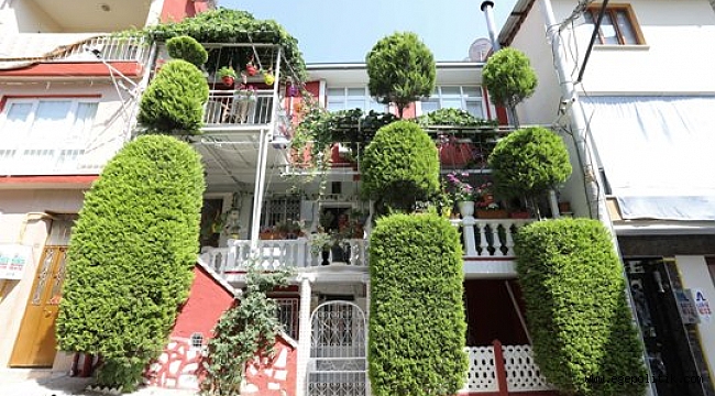 Buca’nın Balkonları Yarışıyor