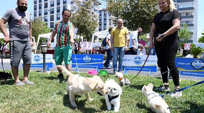 Çiğli'de Pati Dostları Festivalde Buluştu