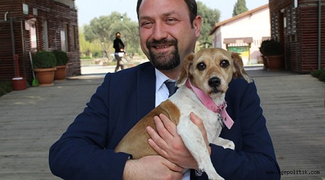 Çiğli'de Pati Dostları Festivalde Buluşacak