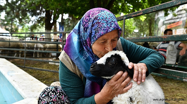 İzmir Büyükşehir Belediyesi'nin hibe ettiği küçükbaş hayvan sayısı 10 bini aştı