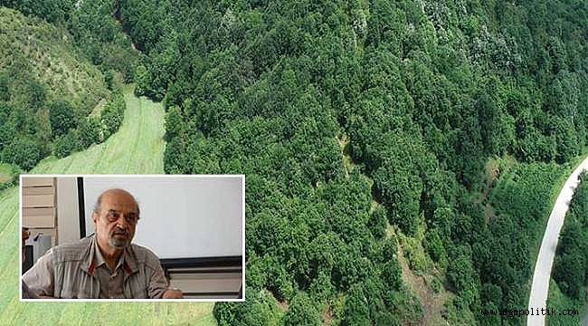 Kocaeli Yarımadasında Talan