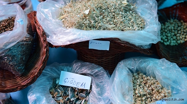 Yerel Tohumlar Bornova’da Geleceğe Taşınıyor