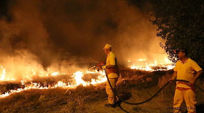 4 Binden Fazla Orman İşçisinin Görevine Son Veriliyor