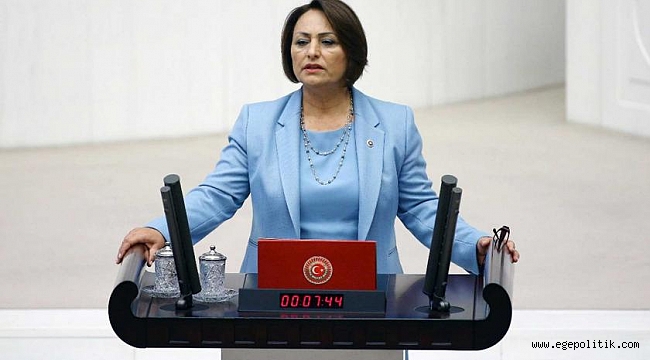 CHP’li Müzeyyen Şevkin, Sel Felaketiyle İlgili Meclis Araştırması İstedi