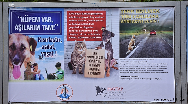 Dikili Sıcak Havalarda Can Dostları Unutmadı