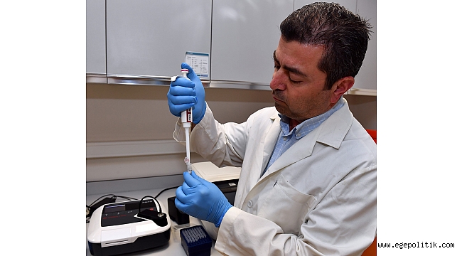 İzmir Körfezi Gülümsemeye Başladı