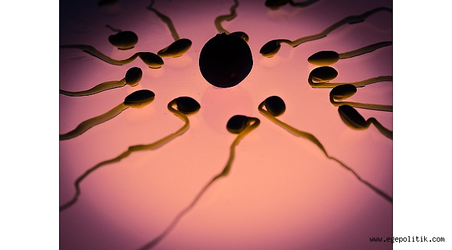 Kadınlar Mars&#039;ta Koloni Kurabilir