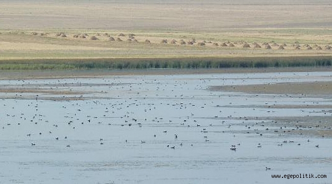 Türkiye’nin Sözleşme Gereği Koruma Altına Aldığı Kuyucuk Gölü Kuruyor