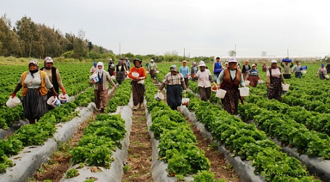 Üretici Enflasyonu Yüzde 30'a Yükseldi