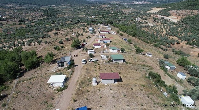 Buca'da Fırsatçılar 40 dönümü yok etti