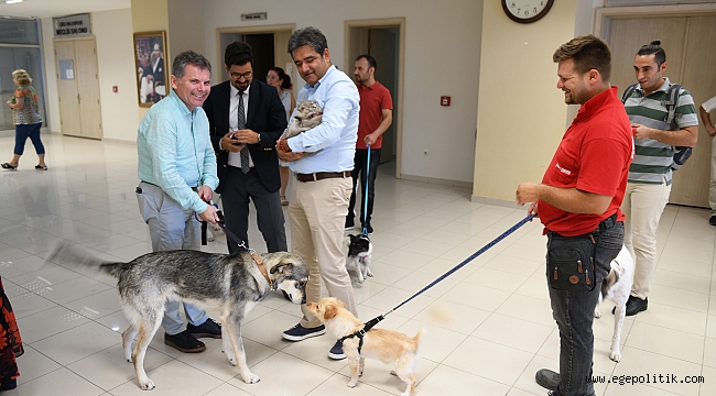 Çiğli Türkiye'de İlki Başarıyor