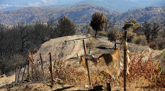 BAŞKAN SENGEL YANAN ORMANLAR İÇİN EFEMÇUKURU’NDA
