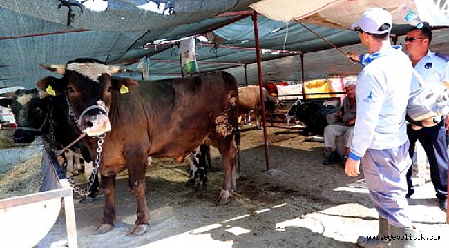 BAYRAKLI BELEDİYESİ KURBAN BAYRAMI'NA HAZIR