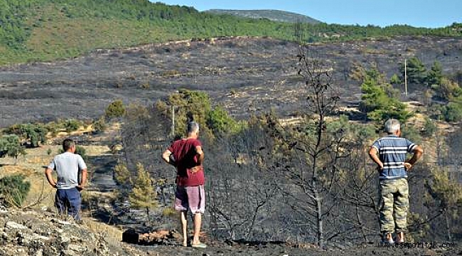 Bölgeyi gezen Başkan Oğuz: Yeniden ağaçlandıracağız