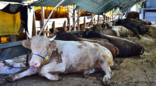 Bornova Belediyesi bayram da vatandaşların yanında olacak