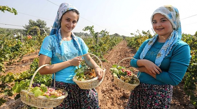 Buca Belediyesi’nden bağlara davet var!