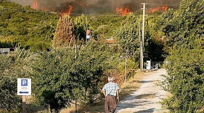 Serter’den Bakan Pakdemirli’ye orman yangını tepkisi