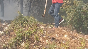 Urla'daki yangına 5 helikopterli takviye